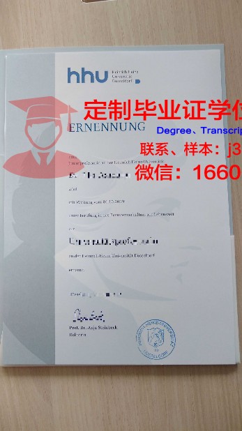 杜塞尔多夫罗伯特-舒曼音乐学院成绩单(杜塞尔多夫罗伯特舒曼音乐学院官网)