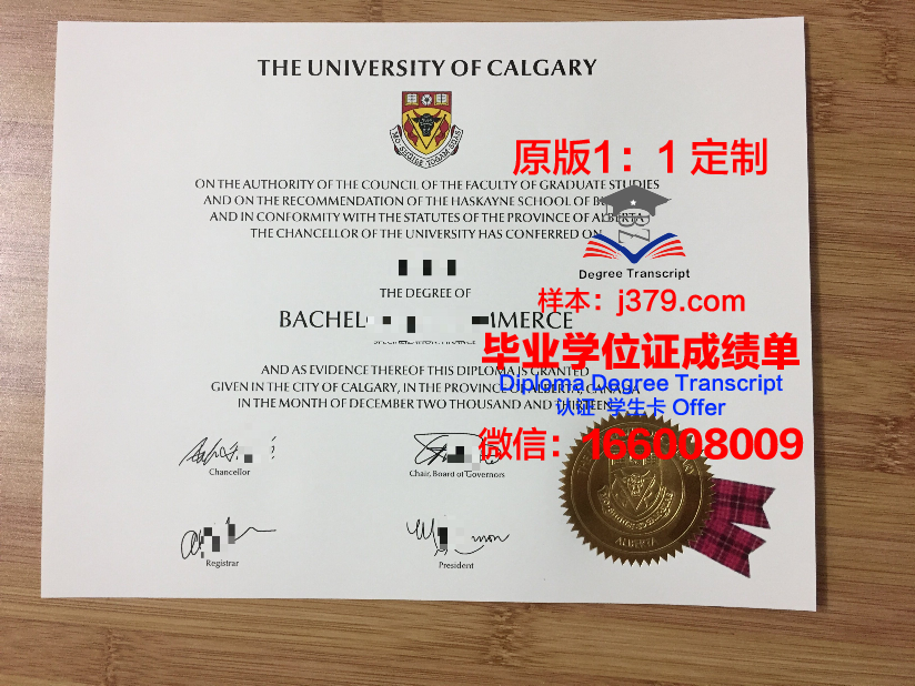 瑟克特夫卡尔国立大学的毕业证都能做(瑟克特夫卡尔是欧洲还是亚洲)