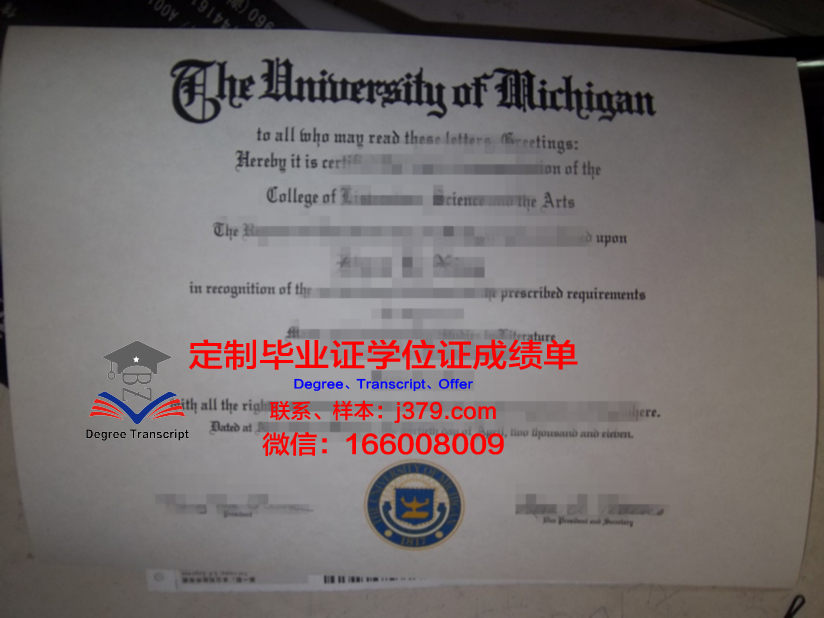 瑟大博士毕业证:一张证书背后的故事