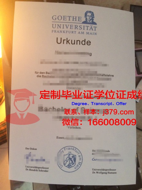 法兰克福应用技术大学毕业证好找工作吗(法兰克福dax)
