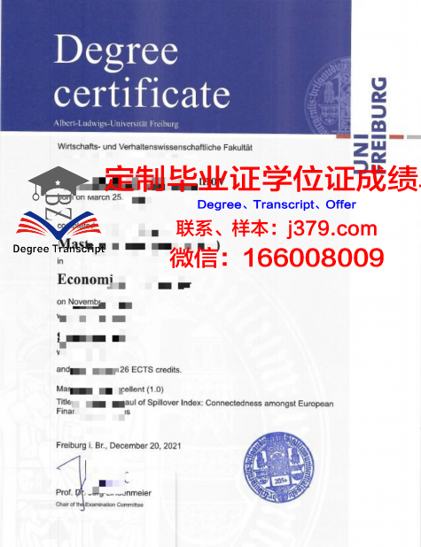 弗里堡大学成绩单(弗莱堡大学申请)