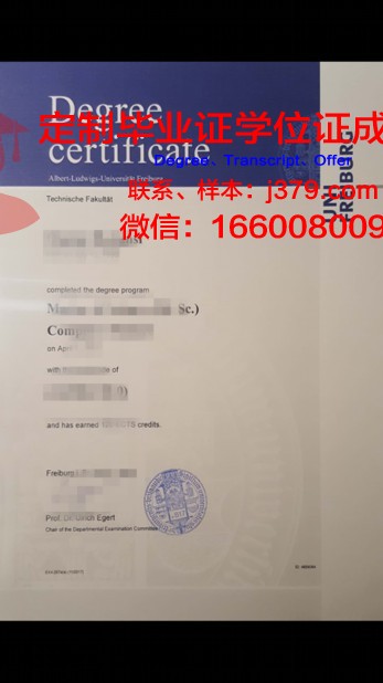 弗里堡大学成绩单(弗莱堡大学申请)