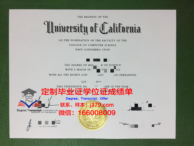 波多西科学与技术研究院毕业证翻译(波多西在哪里)