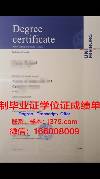 弗莱堡大学毕业证书图片模板(弗莱堡大学收学费吗)