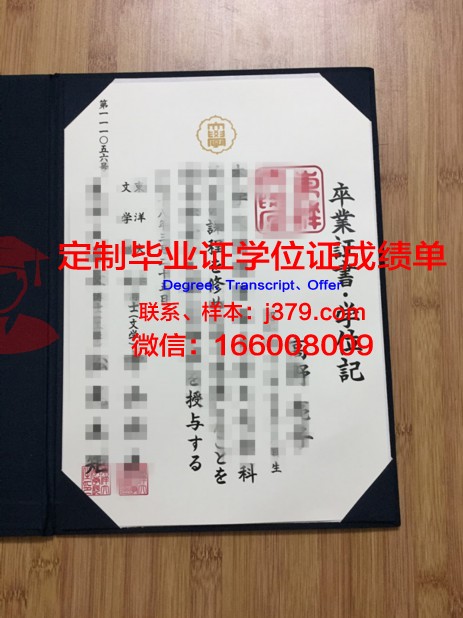没毕业证怎么办日本签证(日本毕业没有毕业证但有学位证)