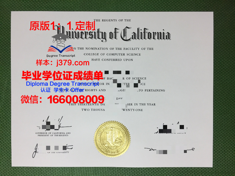 沙理工本科毕业证:承载知识与梦想的凭证