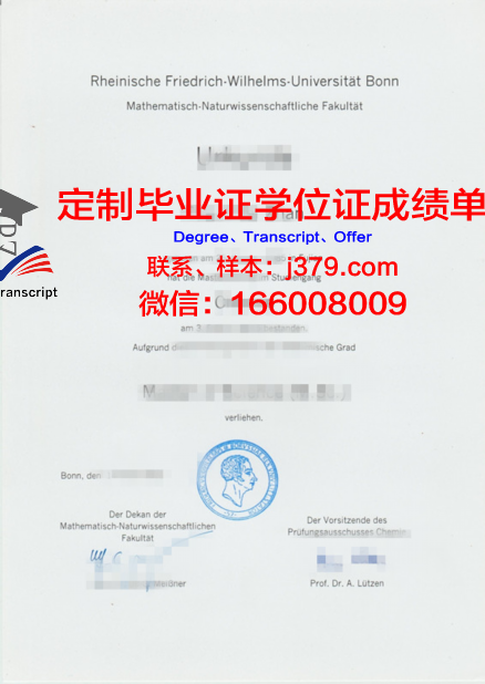 波恩大学毕业证是什么样子(波恩大学毕业证是什么样子的)