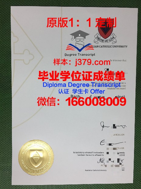 林堡天主教大学的毕业证啥样(天主教大学什么意思)