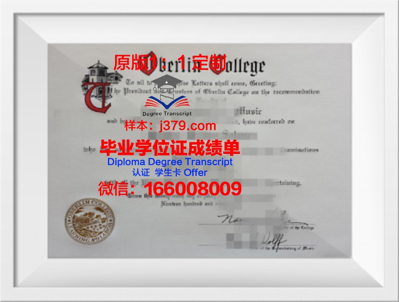 柏林经济与法律应用技术大学毕业证是什么样呢(柏林技术与经济应用科技大学)