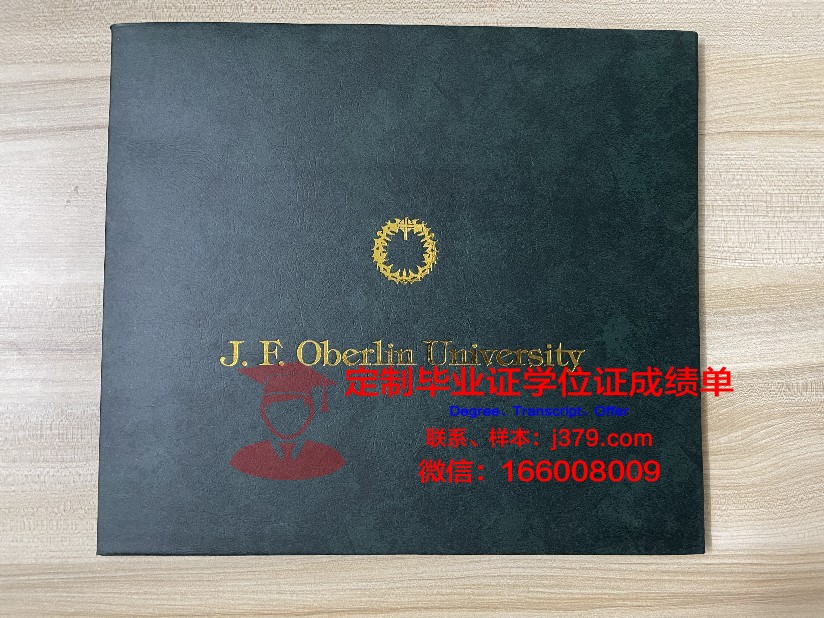 波兹南大学本科毕业证(波兹南技术大学)