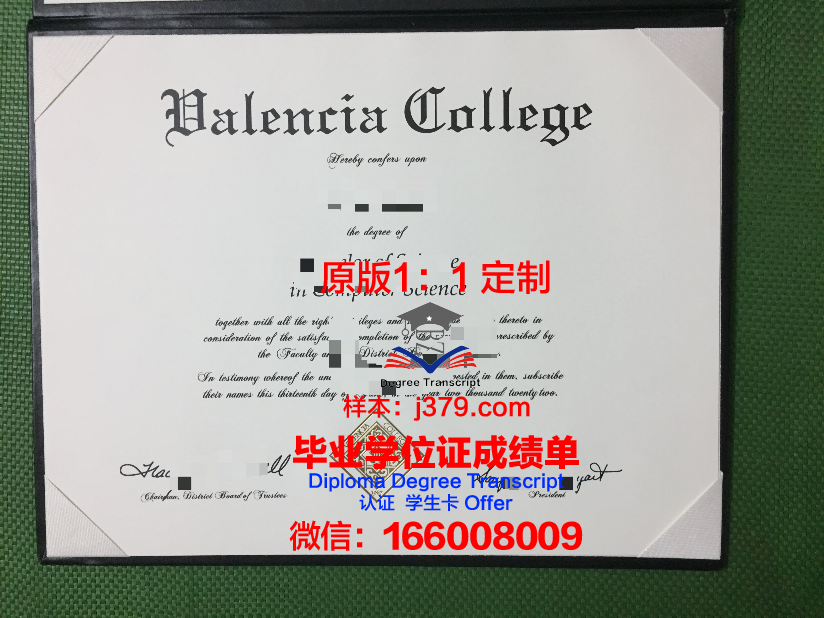 瓦伦西亚欧洲大学研究生毕业证(瓦伦西亚大学硕士)