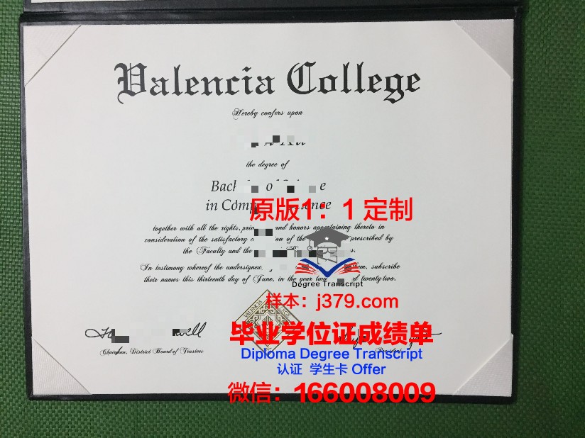 瓦伦西亚欧洲大学研究生毕业证(瓦伦西亚大学硕士)