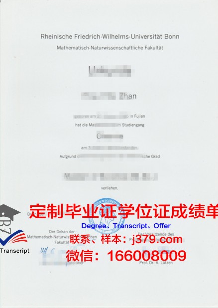 波恩大学毕业证是什么样子(波恩大学毕业证是什么样子的)