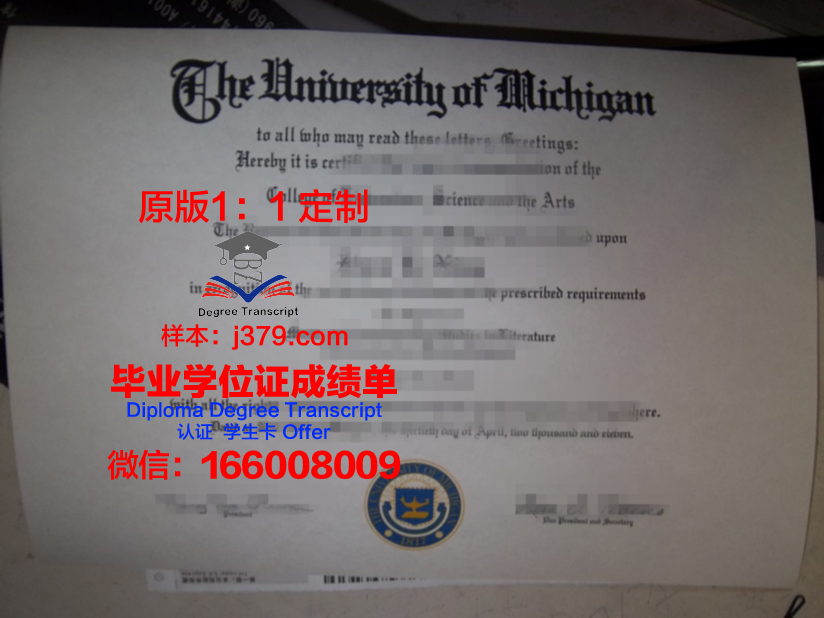 波尔多第一大学毕业证是什么样呢(波尔多第一大学毕业证是什么样呢怎么查)