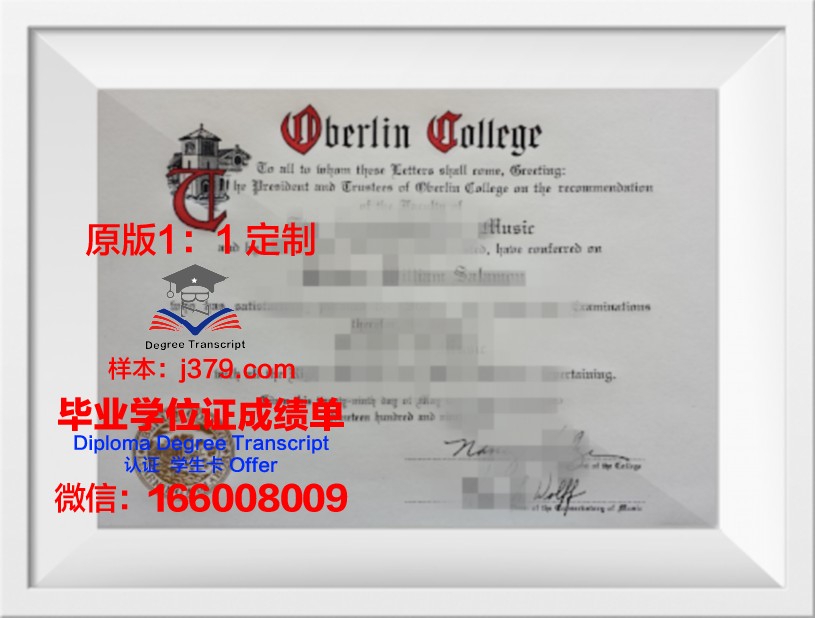 柏林斯泰恩拜斯应用技术大学毕业证长什么样(斯泰恩拜斯大学怎么样)