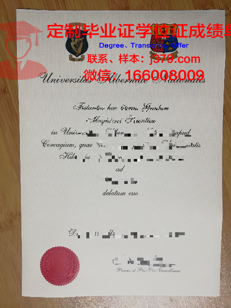 爱尔兰国立梅努斯大学毕业证丢失怎么补办