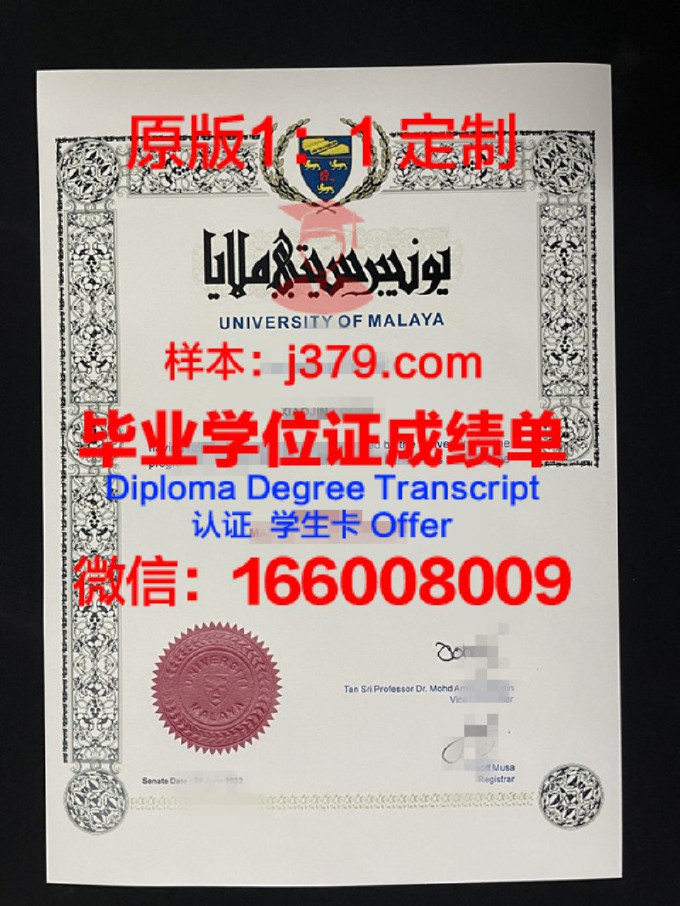 马来西亚大学毕业证学位证(马来亚大学毕业证国家承认吗)