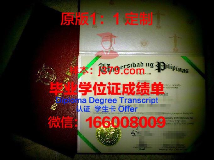 菲律宾大学第利曼分校毕业证模板(菲律宾大学毕业在中国算什么学历)